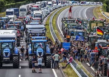 Masaker kráv zatiaľ v Holandsku a Írsku. Globalistické elity využívajú zmenu klímy na „veľký reset“ spoločenského poriadku.