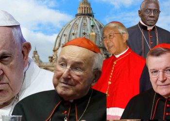 Nové dubia – Päť kardinálov píše pápežovi. Celá odpoveď pápeža Františka.