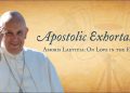 O. Dr. Roman Laba: „Amoris Laetitia“ – podkopávanie katolíckej ekleziológie